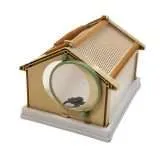 Outdoor Insect Box with Mesh - Image 5